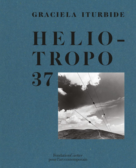 heliotropo 37