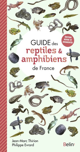 guide des reptiles et amphibiens de France